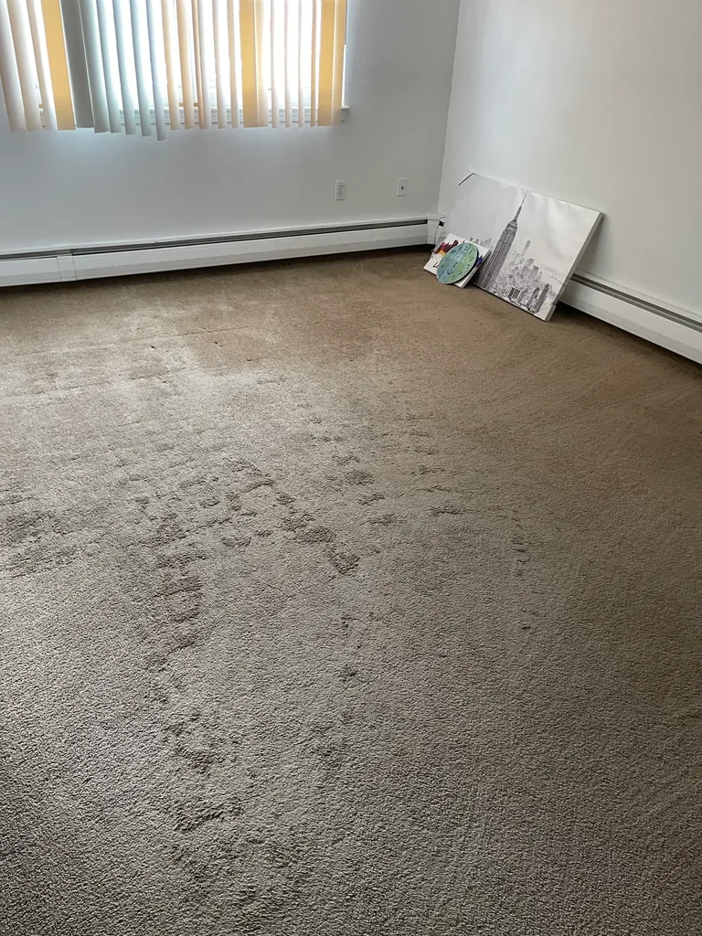 Clean fresh carpet after professional vacuuming and thorough floor care